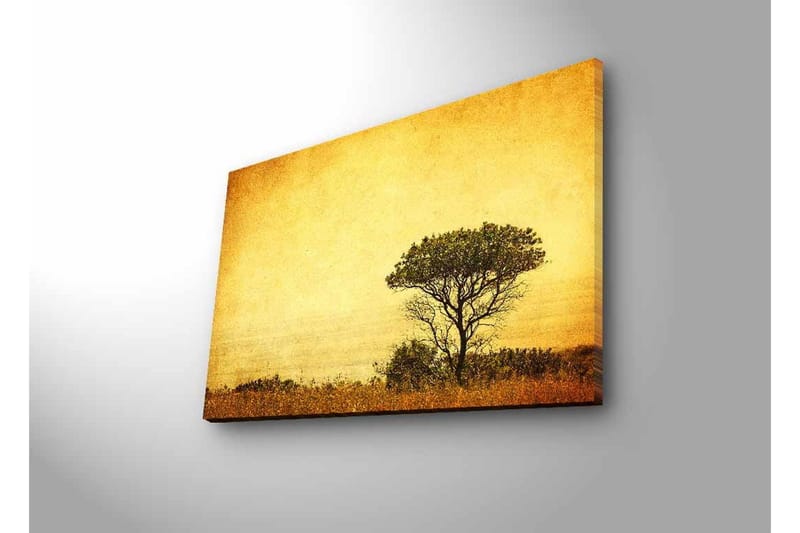 Lærredsbillede med LED-belysning - Ensomt træsilhuet mod en gylden himmel - Guld / Brun / Sort - Boligtilbehør - Billeder & kunst - Billeder på lærred