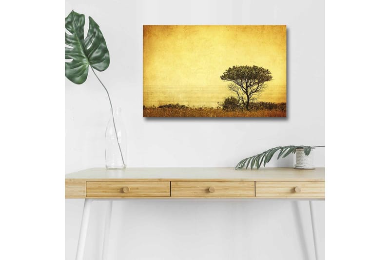 Lærredsbillede med LED-belysning - Ensomt træsilhuet mod en gylden himmel, Guld / Brun / Sort