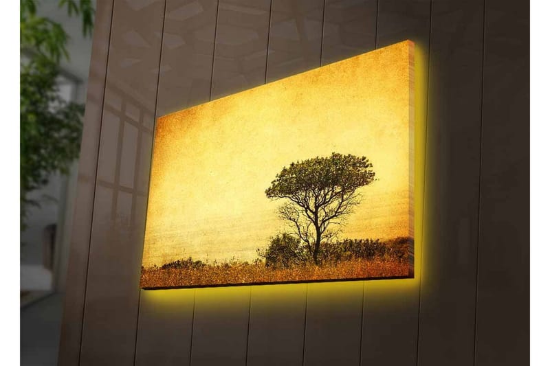 Lærredsbillede med LED-belysning - Ensomt træsilhuet mod en gylden himmel - Guld / Brun / Sort - Boligtilbehør - Billeder & kunst - Billeder på lærred