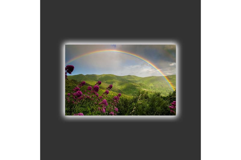 Lærredsbillede med LED-belysning - Farverig regnbue over grønne bjerge og blomster - Grøn / Lilla / Blå - Boligtilbehør - Billeder & kunst - Billeder på lærred