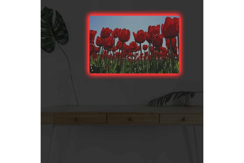Lærredsbillede med LED-belysning - Farverig tulipanmark i fuldt flor - Rød / Grøn - Boligtilbehør - Billeder & kunst - Billeder på lærred