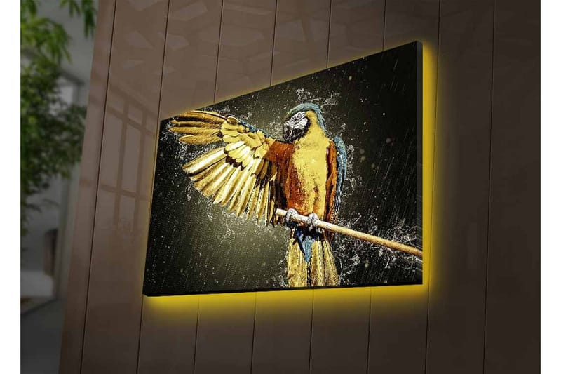 Lærredsbillede med LED-belysning - Farverig papegøje med udstrakte vinger - Guld / Blå / Grøn - Boligtilbehør - Billeder & kunst - Billeder på lærred