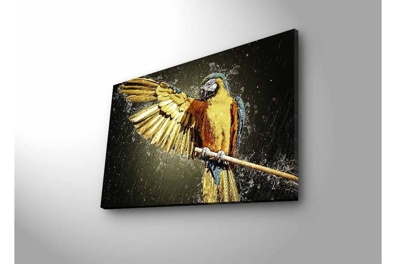 Lærredsbillede med LED-belysning - Farverig papegøje med udstrakte vinger - Guld / Blå / Grøn - Boligtilbehør - Billeder & kunst - Billeder på lærred