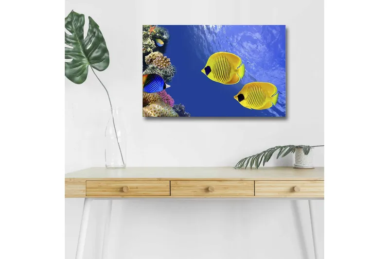 Lærredsbillede med LED-belysning - Farverige tropiske fisk, der svømmer i et koralrev, Blå / Gul / Lilla