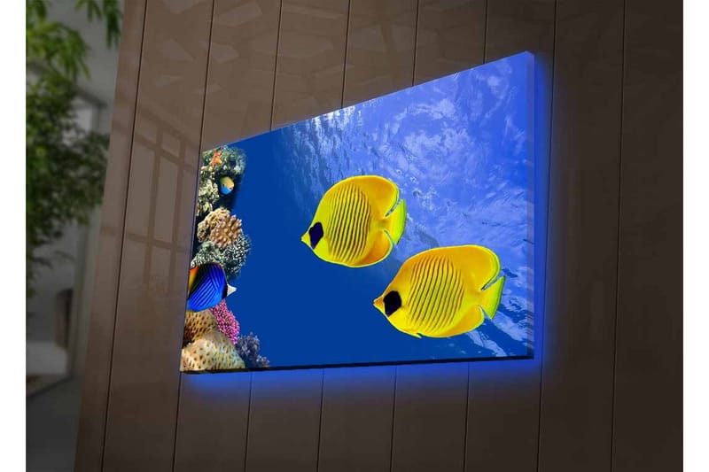 Lærredsbillede med LED-belysning - Farverige tropiske fisk, der svømmer i et koralrev - Blå / Gul / Lilla - Boligtilbehør - Billeder & kunst - Billeder på lærred