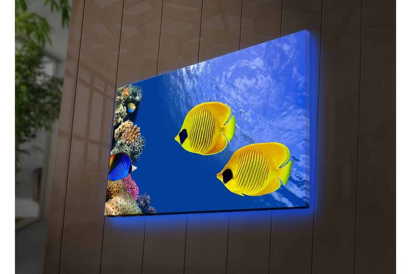 Lærredsbillede med LED-belysning - Farverige tropiske fisk, der svømmer i et koralrev - Blå / Gul / Lilla - Boligtilbehør - Billeder & kunst - Billeder på lærred