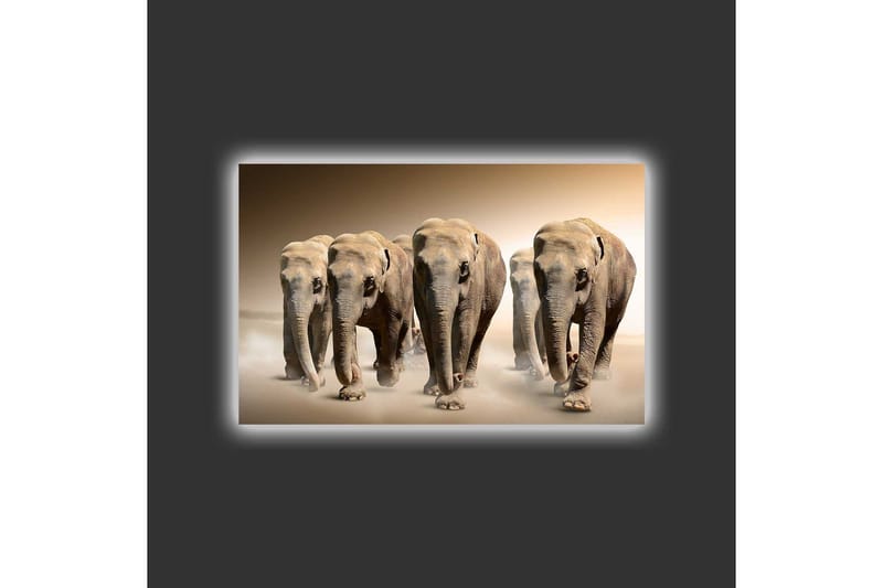 Lærredsbillede med LED-belysning - Fem elefanter går på række gennem et sandet miljø - Beige / Brun / Grå - Boligtilbehør - Billeder & kunst - Billeder på lærred