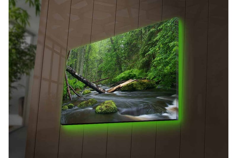 Lærredsbillede med LED-belysning - Frodig skov med en rislende bæk - Grøn / Brun / Sort - Boligtilbehør - Billeder & kunst - Billeder på l�ærred