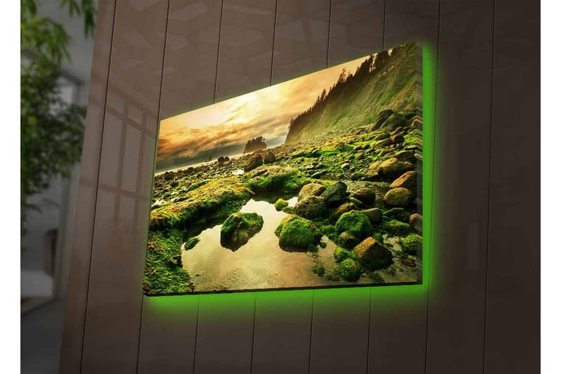 Lærredsbillede med LED-belysning - Frodigt kystlandskab med klipper og spejlblanke vandpytter - Grøn / Brun / Gul - Boligtilbehør - Billeder & kunst - Billeder på lærred