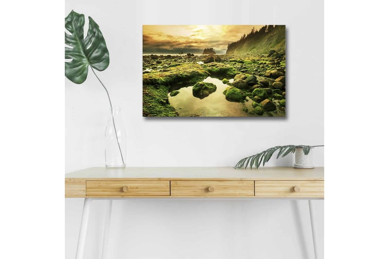 Lærredsbillede med LED-belysning - Frodigt kystlandskab med klipper og spejlblanke vandpytter, Grøn / Brun / Gul