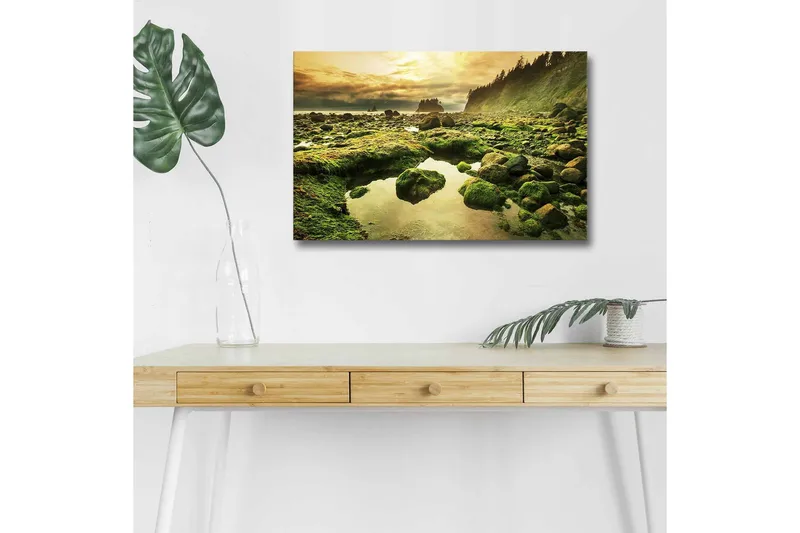 Lærredsbillede med LED-belysning - Frodigt kystlandskab med klipper og spejlblanke vandpytter, Grøn / Brun / Gul