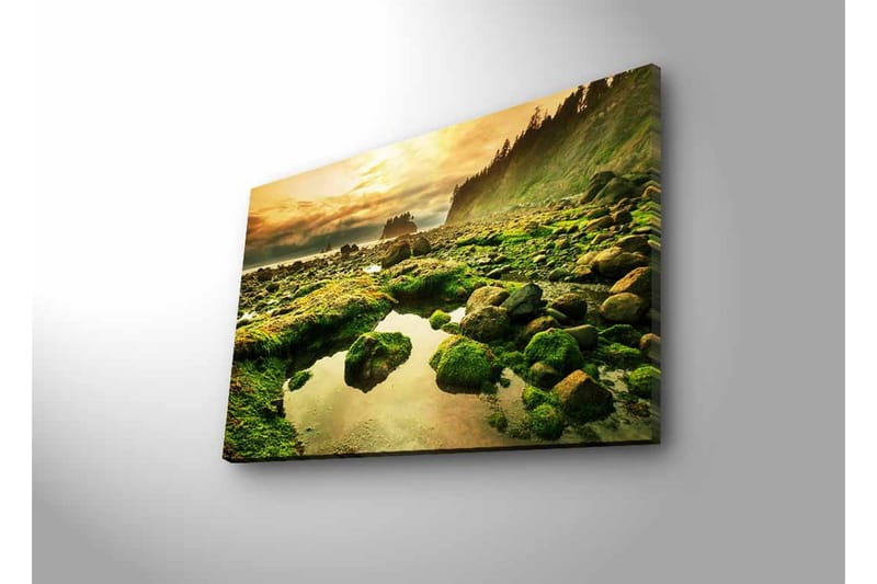 Lærredsbillede med LED-belysning - Frodigt kystlandskab med klipper og spejlblanke vandpytter - Grøn / Brun / Gul - Boligtilbehør - Billeder & kunst - Billeder på lærred