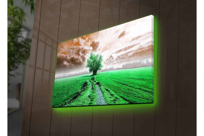 Lærredsbillede med LED-belysning - Frodigt landskab med en ensom trætop i horisonten - Grøn / Brun / Grå - Boligtilbehør - Billeder & kunst - Billeder på lærred