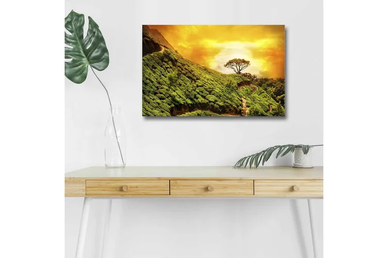 Lærredsbillede med LED-belysning - Frodigt landskab med en ensom trætop mod en gylden himmel, Grøn / Guld / Brun