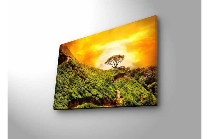 Lærredsbillede med LED-belysning - Frodigt landskab med en ensom trætop mod en gylden himmel - Grøn / Guld / Brun - Boligtilbehør - Billeder & kunst - Billeder på lærred