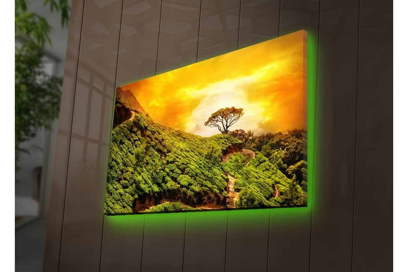 Lærredsbillede med LED-belysning - Frodigt landskab med en ensom trætop mod en gylden himmel - Grøn / Guld / Brun - Boligtilbehør - Billeder & kunst - Billeder på lærred