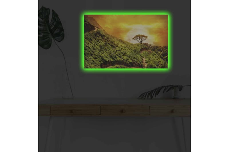 Lærredsbillede med LED-belysning - Frodigt landskab med en ensom trætop mod en gylden himmel - Grøn / Guld / Brun - Boligtilbehør - Billeder & kunst - Billeder på lærred