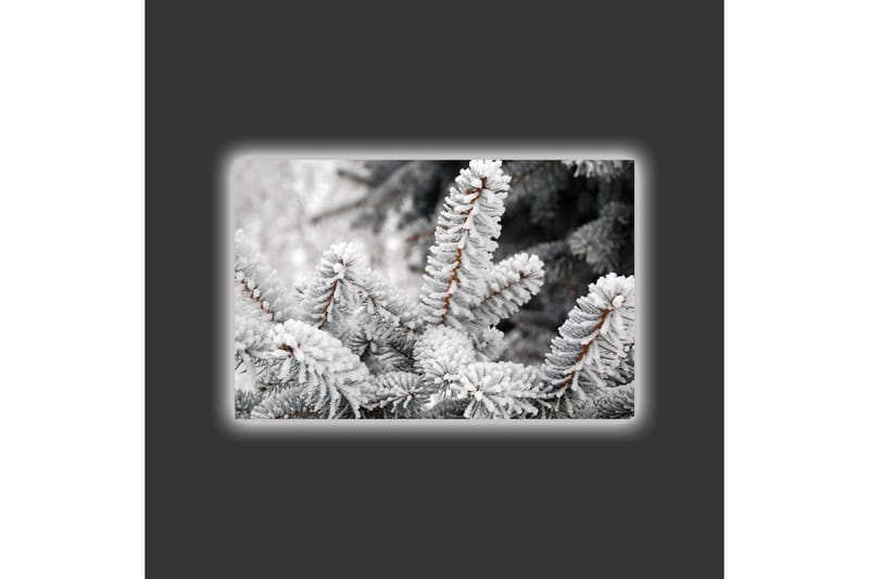 Lærredsbillede med LED-belysning - Frosne grantræer i vinterlandskab - Hvid / Grå / Brun - Boligtilbehør - Billeder & kunst - Billeder på lærred