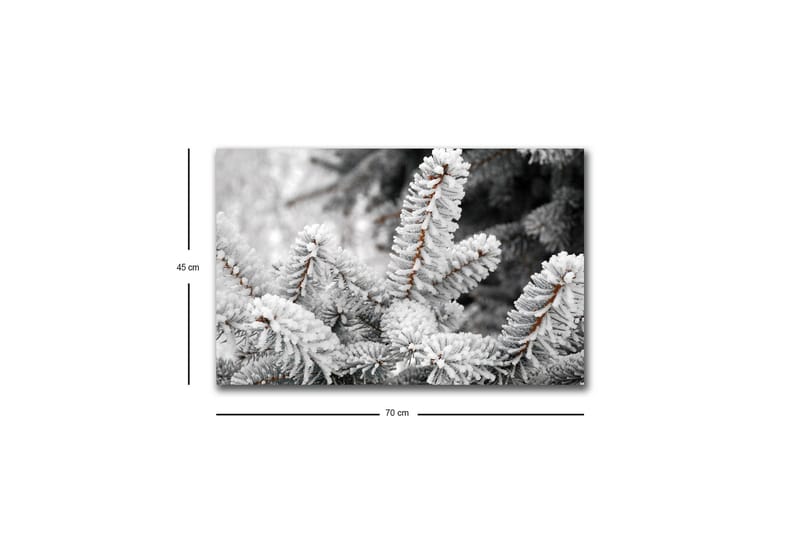 Lærredsbillede med LED-belysning - Frosne grantræer i vinterlandskab - Hvid / Grå / Brun - Boligtilbehør - Billeder & kunst - Billeder på lærred