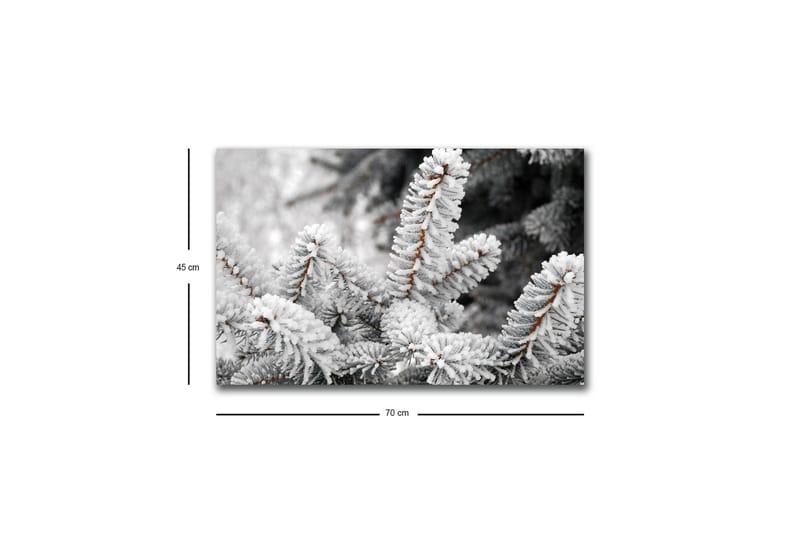 Lærredsbillede med LED-belysning - Frosne grantræer i vinterlandskab - Hvid / Grå / Brun - Boligtilbehør - Billeder & kunst - Billeder på lærred