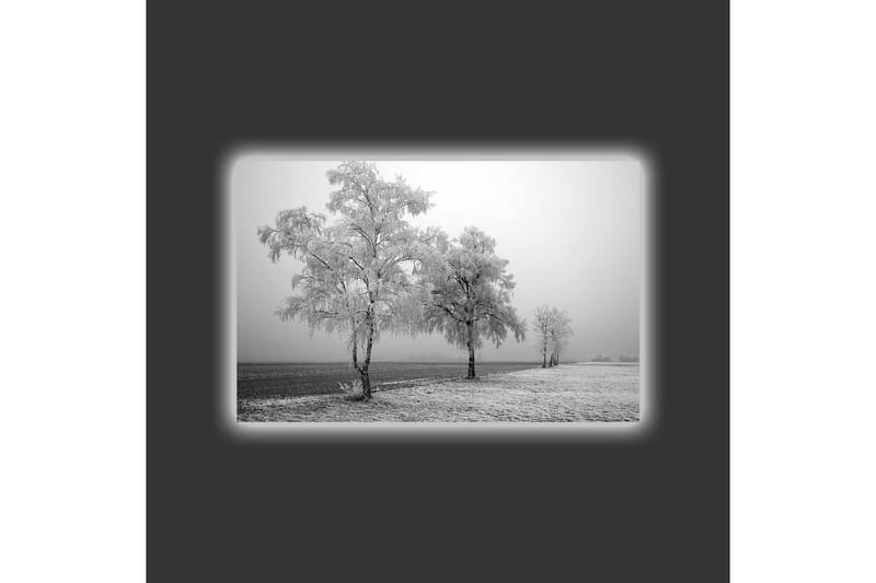 Lærredsbillede med LED-belysning - Frosne træer i et vinterlandskab - Hvid / Grå - Boligtilbehør - Billeder & kunst - Billeder på lærred