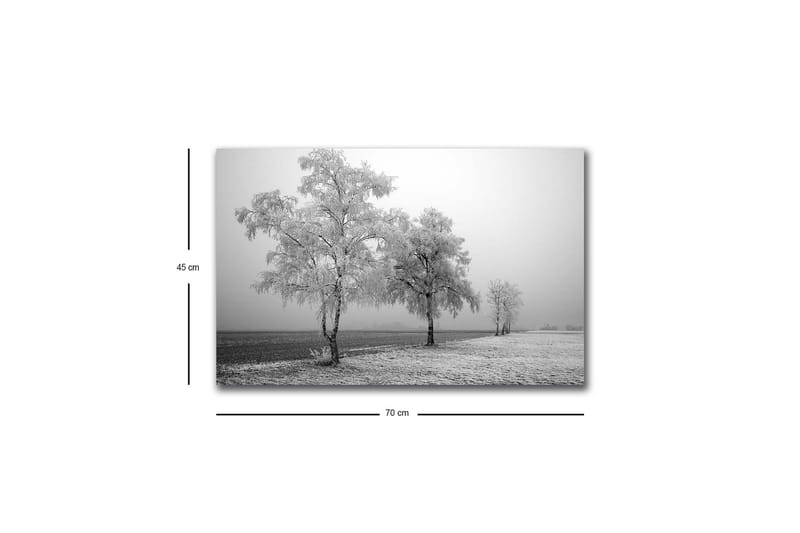Lærredsbillede med LED-belysning - Frosne træer i et vinterlandskab - Hvid / Grå - Boligtilbehør - Billeder & kunst - Billeder på lærred