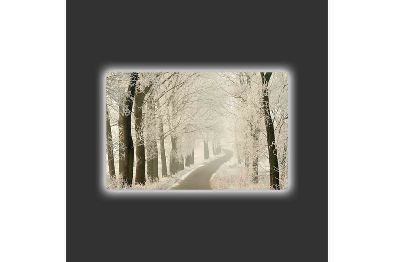 Lærredsbillede med LED-belysning - Frossen vej omgivet af snedækkede træer - Hvid / Grå / Sort - Boligtilbehør - Billeder & kunst - Billeder på lærred