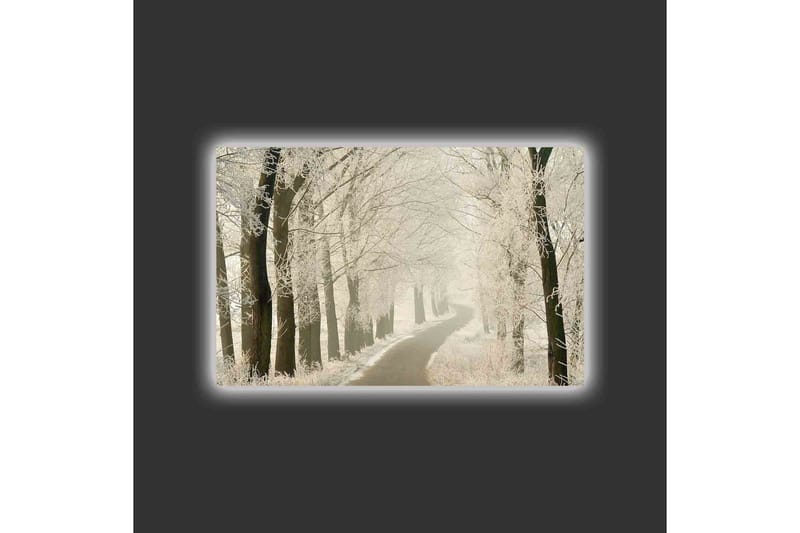 Lærredsbillede med LED-belysning - Frossen vej omgivet af snedækkede træer - Hvid / Grå / Sort - Boligtilbehør - Billeder & kunst - Billeder på lærred