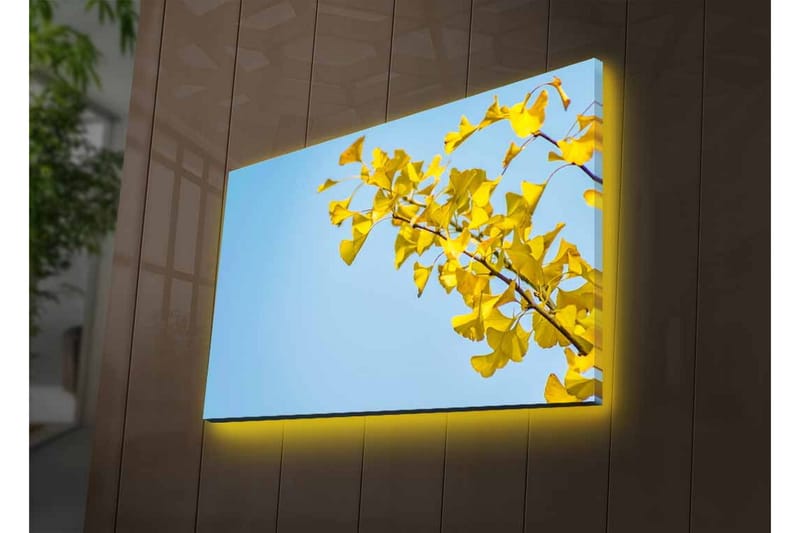 Lærredsbillede med LED-belysning - Ginkgo-blade mod en klar blå himmel - Gul / Blå - Boligtilbehør - Billeder & kunst - Billeder på lærred