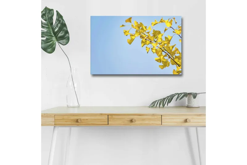 Lærredsbillede med LED-belysning - Ginkgo-blade mod en klar blå himmel, Gul / Blå
