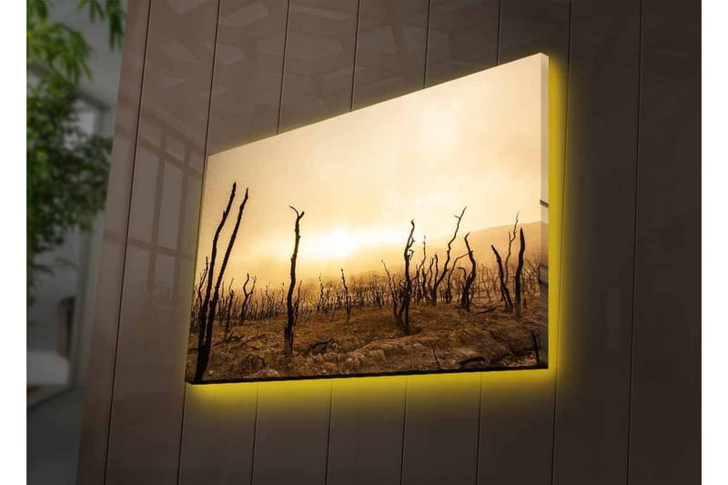 Lærredsbillede med LED-belysning - Goldt landskab med døde træstammer - Mørkebrun / Beige / Grå - Boligtilbehør - Billeder & kunst - Billeder på lærred