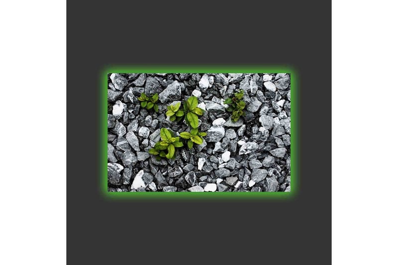 Lærredsbillede med LED-belysning - Grå stenet overflade med grønne planter, der vokser ud - Grå / Grøn - Boligtilbehør - Billeder & kunst - Billeder på lærred