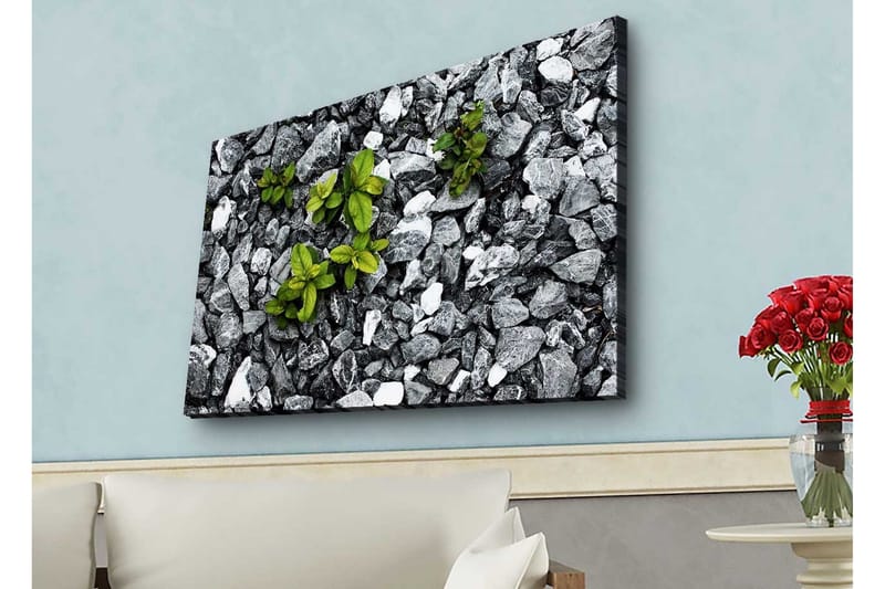 Lærredsbillede med LED-belysning - Grå stenet overflade med grønne planter, der vokser ud, Grå / Grøn