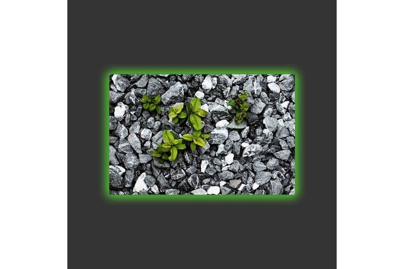 Lærredsbillede med LED-belysning - Grå stenet overflade med grønne planter, der vokser ud - Grå / Grøn - Boligtilbehør - Billeder & kunst - Billeder på lærred
