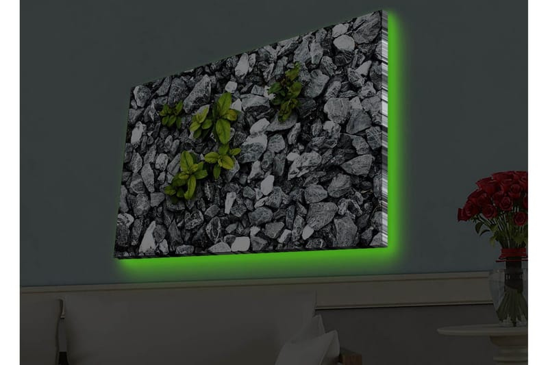 Lærredsbillede med LED-belysning - Grå stenet overflade med grønne planter, der vokser ud - Grå / Grøn - Boligtilbehør - Billeder & kunst - Billeder på lærred