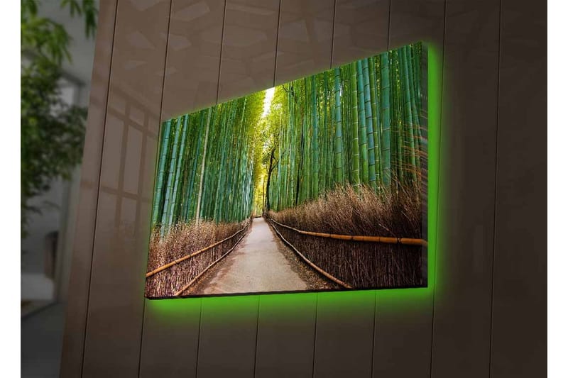 Lærredsbillede med LED-belysning - Grøn bambusskov med en sti, der fører gennem træerne - Grøn / Brun - Boligtilbehør - Billeder & kunst - Billeder på lærred