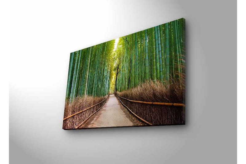 Lærredsbillede med LED-belysning - Grøn bambusskov med en sti, der fører gennem træerne - Grøn / Brun - Boligtilbehør - Billeder & kunst - Billeder på lærred