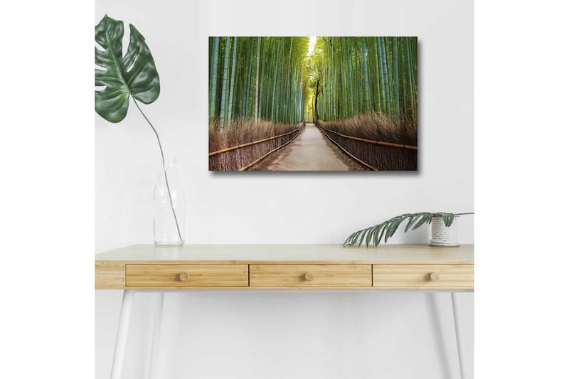 Lærredsbillede med LED-belysning - Grøn bambusskov med en sti, der fører gennem træerne, Grøn / Brun
