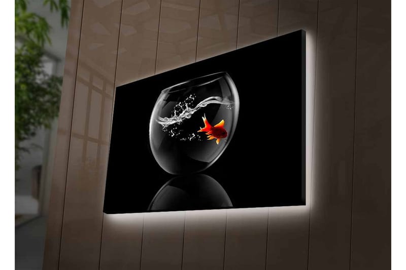 Lærredsbillede med LED-belysning - Guldfisk svømmer i en glasbeholder med vandsprøjt - Sort / Rød / Gennemsigtig - Boligtilbehør - Billeder & kunst - Billeder på lærred