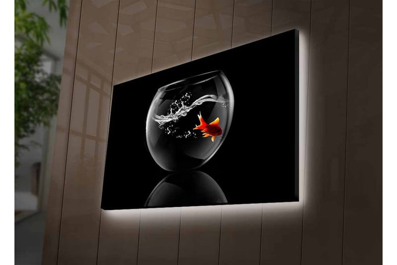 Lærredsbillede med LED-belysning - Guldfisk svømmer i en glasbeholder med vandsprøjt - Sort / Rød / Gennemsigtig - Boligtilbehør - Billeder & kunst - Billeder på lærred