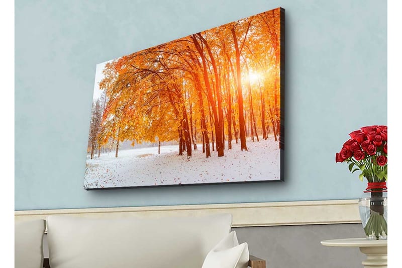 Lærredsbillede med LED-belysning - Gylden efterårsskov med solstråler, der skinner gennem træerne, Orange / Guld / Hvid