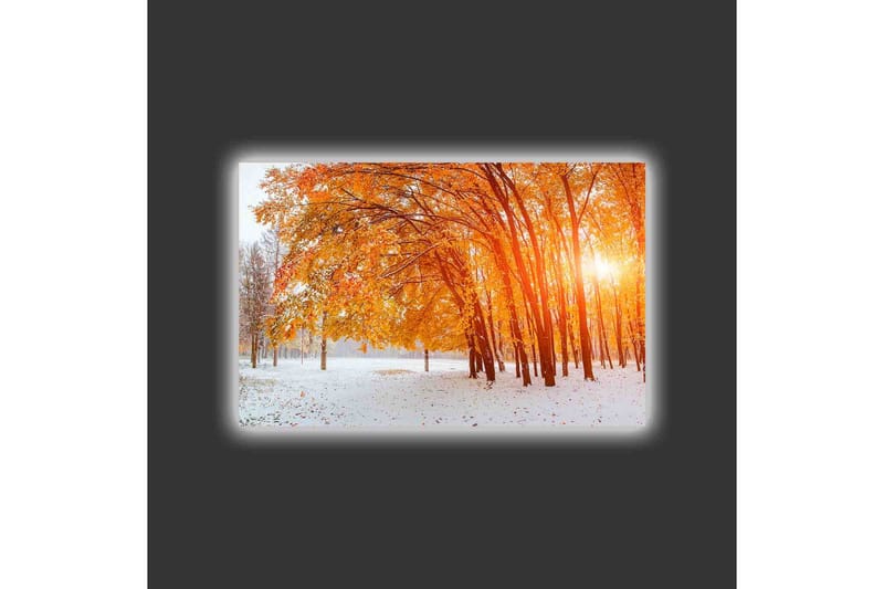 Lærredsbillede med LED-belysning - Gylden efterårsskov med solstråler, der skinner gennem træerne - Orange / Guld / Hvid - Boligtilbehør - Billeder & kunst - Billeder på lærred