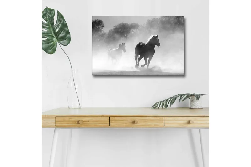 Lærredsbillede med LED-belysning - Heste galoperer gennem tåge, Sort / Hvid / Grå