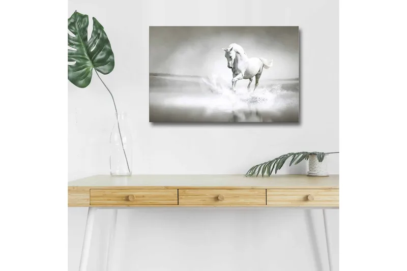 Lærredsbillede med LED-belysning - Hvid hest sprøjter vand i et tåget miljø - Hvid / Grå - Boligtilbehør - Billeder & kunst - Billeder på lærred