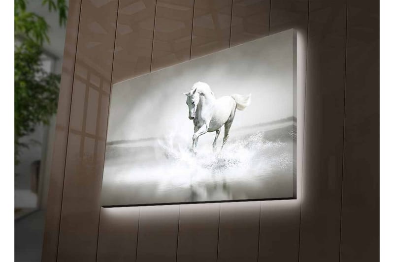 Lærredsbillede med LED-belysning - Hvid hest sprøjter vand i et tåget miljø - Hvid / Grå - Boligtilbehør - Billeder & kunst - Billeder på lærred