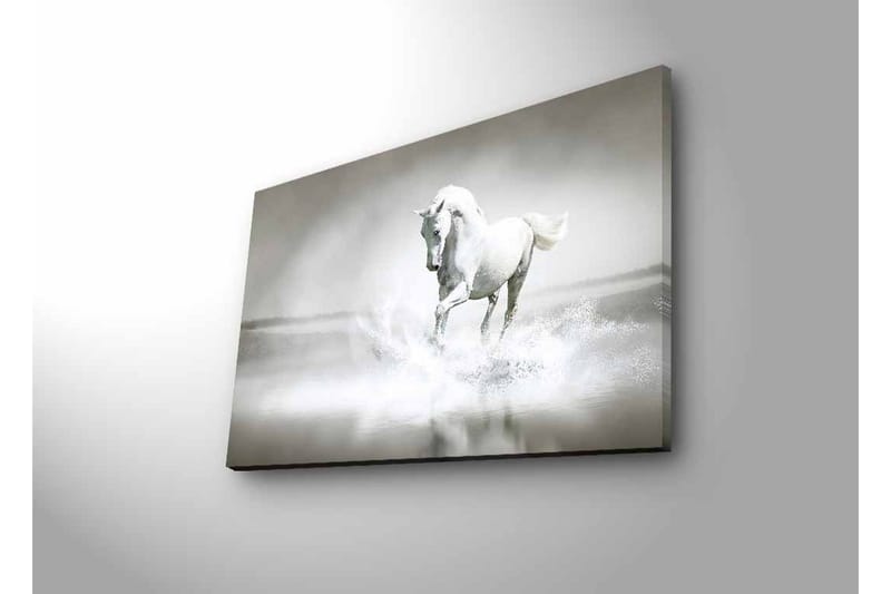 Lærredsbillede med LED-belysning - Hvid hest sprøjter vand i et tåget miljø - Hvid / Grå - Boligtilbehør - Billeder & kunst - Billeder på lærred