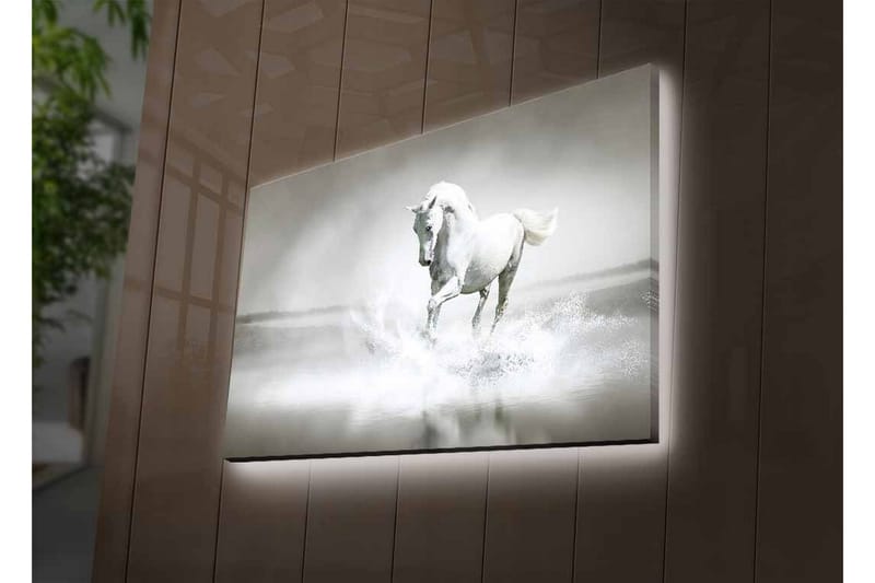 Lærredsbillede med LED-belysning - Hvid hest sprøjter vand i et tåget miljø - Hvid / Grå - Boligtilbehør - Billeder & kunst - Billeder på lærred