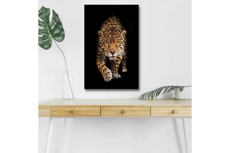 Lærredsbillede med LED-belysning - Jagende jaguar i fokus, Guld / Sort / Hvid