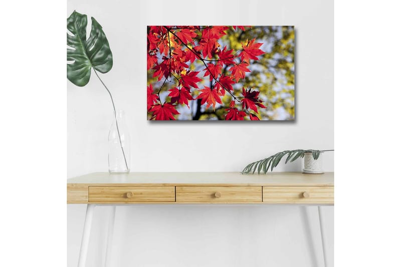 Lærredsbillede med LED-belysning - Klare røde ahornblade hængende fra en gren, Rød / Grøn