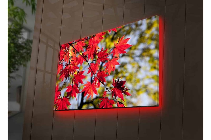 Lærredsbillede med LED-belysning - Klare røde ahornblade hængende fra en gren - Rød / Grøn - Boligtilbehør - Billeder & kunst - Billeder på lærred